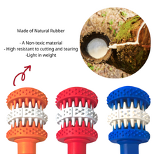 Load image into Gallery viewer, Natural Rubber Dog Chewing Toy - Toothbrush Design