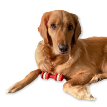 Load image into Gallery viewer, Natural Rubber Dog Chewing Toy - Toothbrush Design