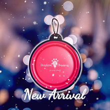 Load image into Gallery viewer, Travel Bowl