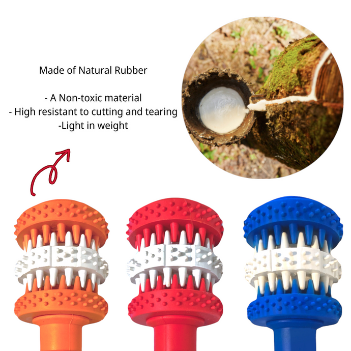 Natural Rubber is The Best Material for Dog Toys